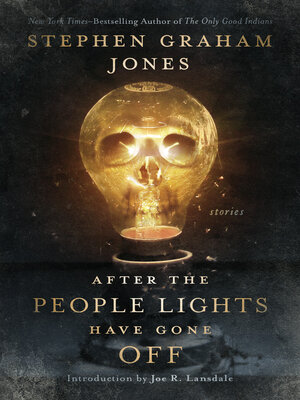 cover image of After the People Lights Have Gone Off